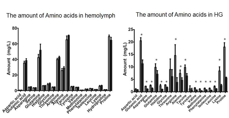 아미노산 미각수용체의 인위적인 저발현시 혈림프 및 비하인두샘에서의 아미노 산 함량 분석.
