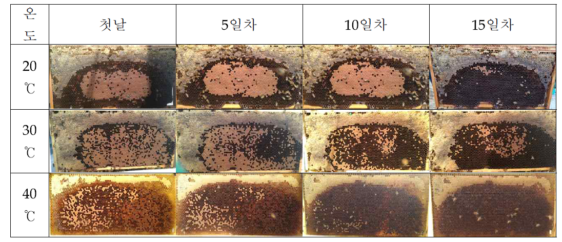 온도별 양봉판의 변화.