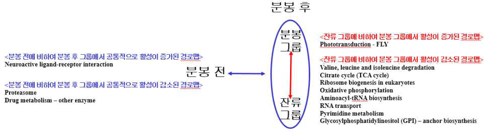 GSEA 결과 - 분봉 전 vs. 분봉 후(분봉 그룹, 잔류 그룹)