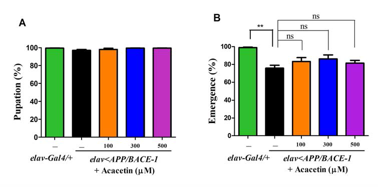 Effect of acacetin on the eclosion rate of the transgenic flies.