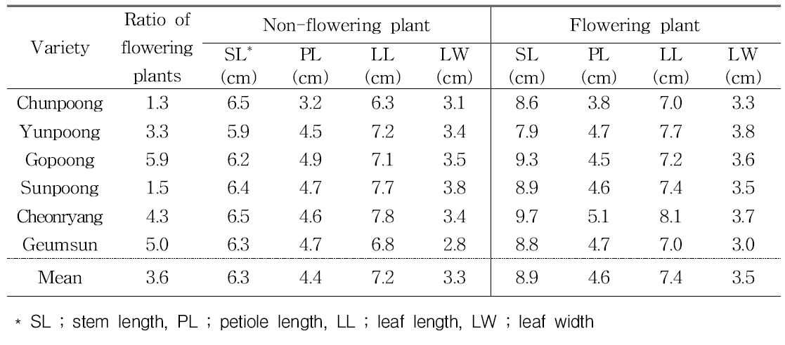 The ratio and growth of flowering plants by P anax ginseng varieties.