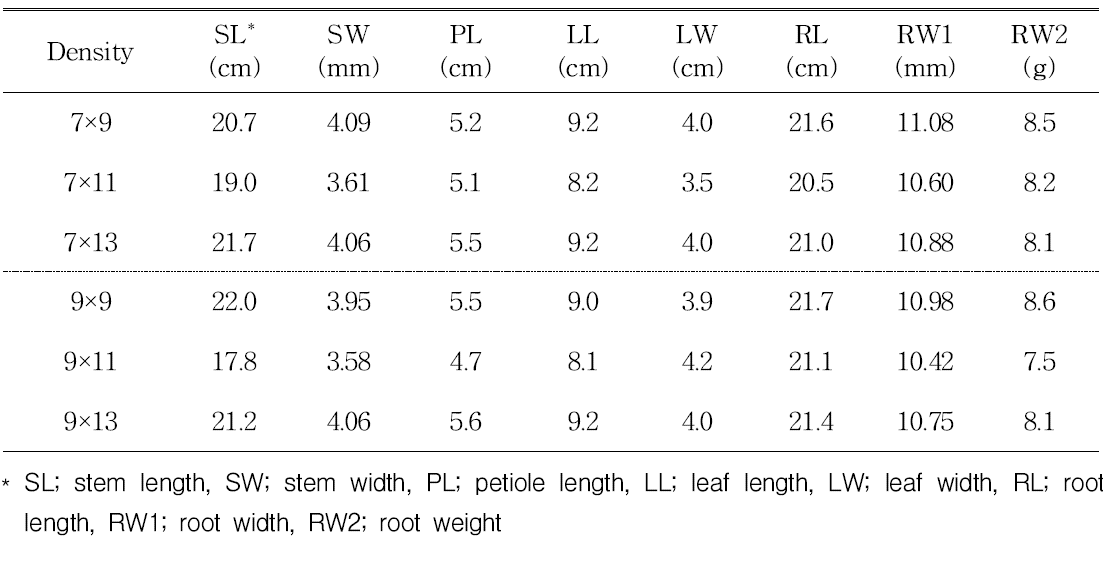 The growth and yield characteristics of jagyeongjong(3yr) by planting density.