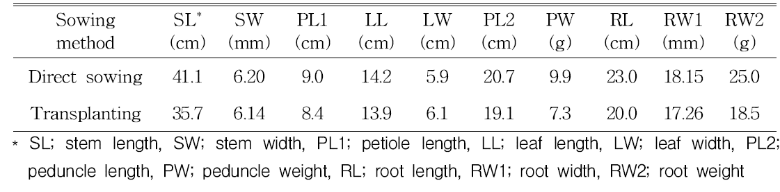 The growth and yield characteristics by direct sowing and transplanting.