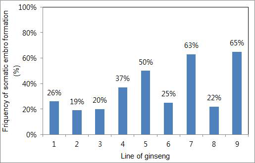 Frequency of somatic embryo formation among the different genotypes of Panax ginseng.