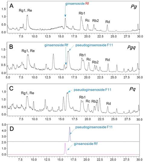 TIC of extracts of P g, P gq , and P q by LC-IT-TOF-MS analysis.