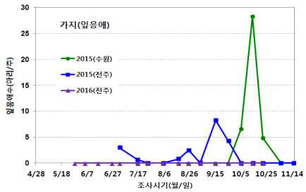 가지의 잎응애 발생 시기와 발생량