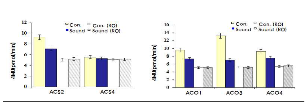 Transient expression assay-GUS activity (RIN과 ACO 및 ACS 유전자)