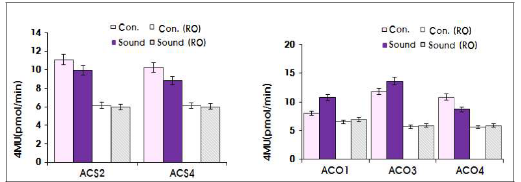 Transient expression assay-GUS activity (HB-1과 ACO 및 ACS 유전자)