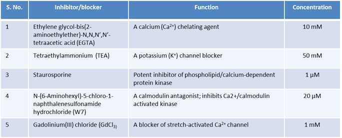 실험에 사용된 inhibitor/blocker 목록과 기능 및 농도.