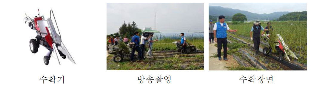 참깨 수확기 및 수확장면