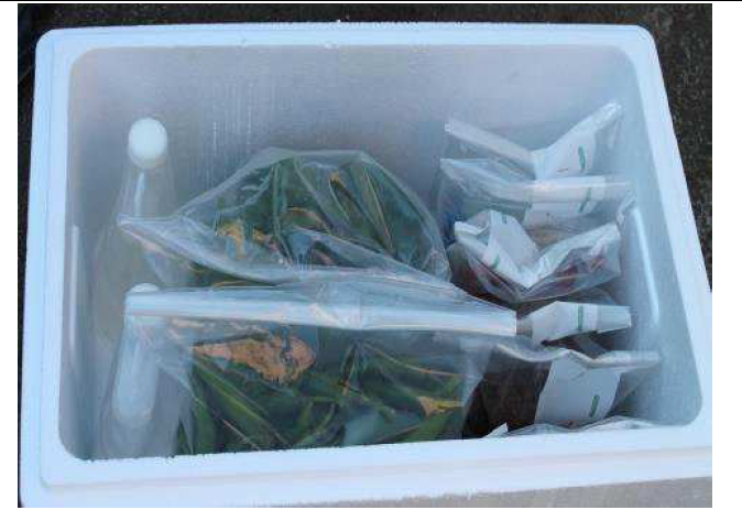 채취된 샘플간 교차 오염을 방지하기 위하여 각각 멸균백에 포장하여 아이스박스에 담아 운송