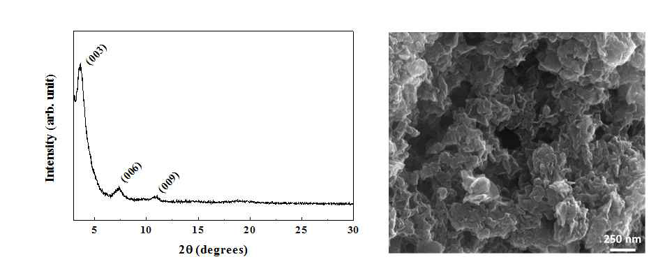 계피산이 담지된 나노구조체의 X-선 회절분석 결과(좌) 및 주사 전자현미경 이미지(우)