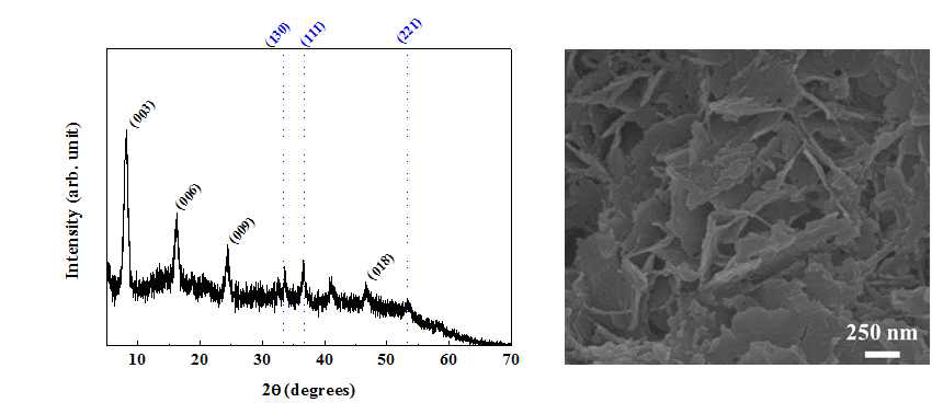 전도성 고분자가 도입된 2가 및 3가 철이온으로 이루어진 합성계 무 기광물질 기반 나노구조체의 X-선 회절분석 결과(좌) 및 사전자현미경 이미지 (우)