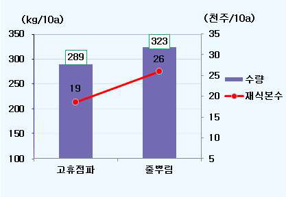 파종방법별 재식본수 및 수량성