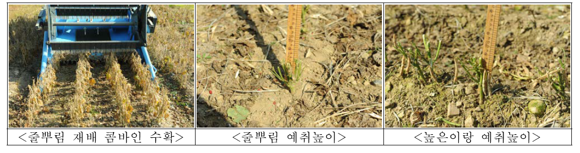 직립형 팥의 재배양식별 콤바인 기계수확에 따른 예취 높이