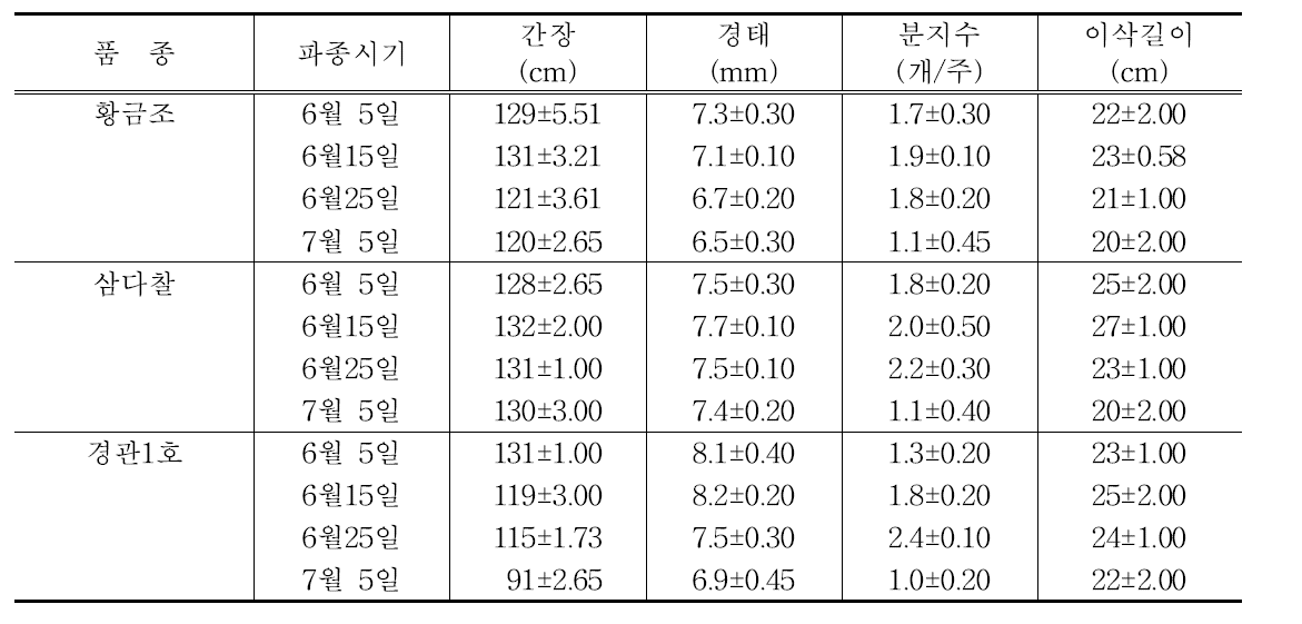 품종 및 파종시기별 수확기 생육