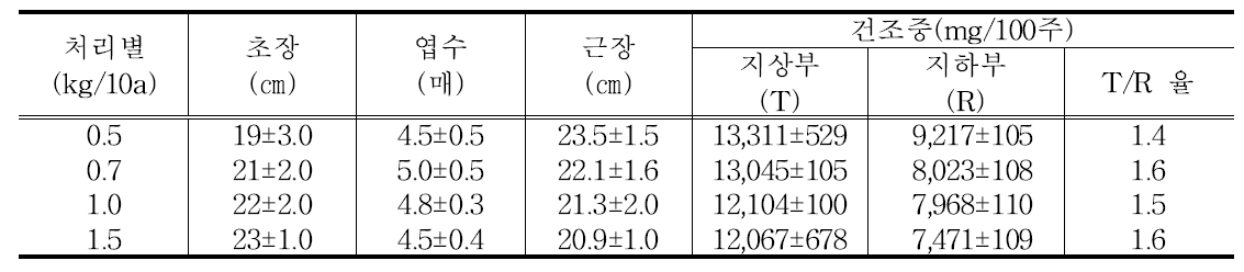 휴립광산파 파종량별 포장 묘생육