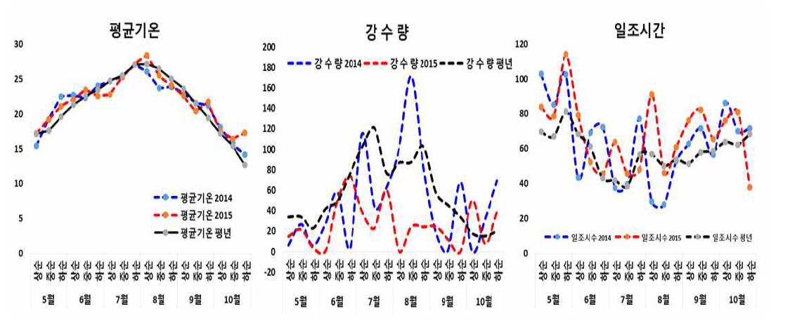 시험기간 중 기상현황