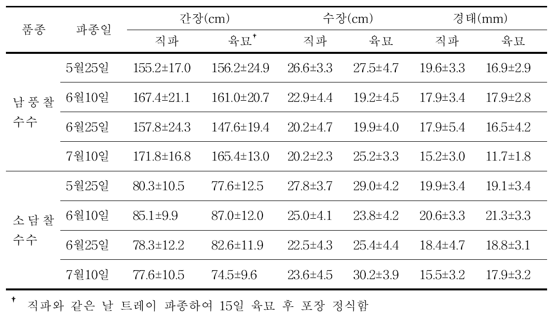 수수의 직파와 육묘이식에 따른 생육특성