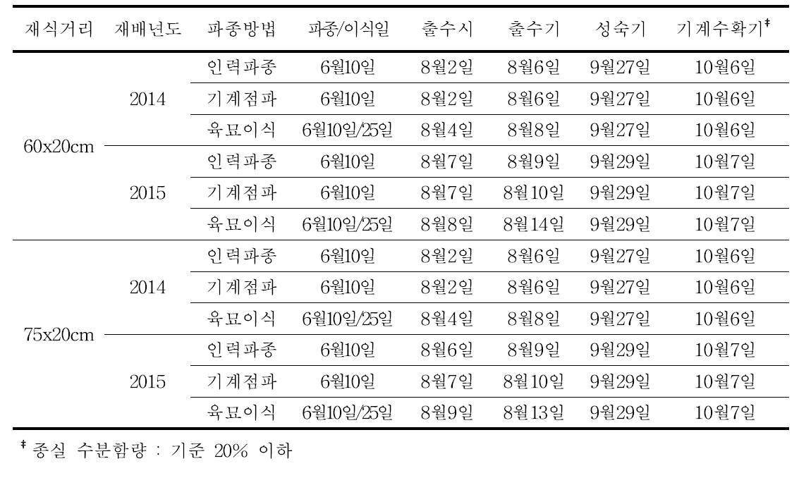 소담찰수수의 파종방법별 출수기와 성숙기