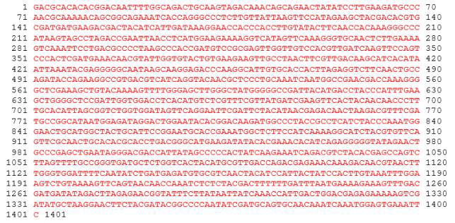 DNA 염기서열