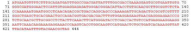 DNA 염기서열