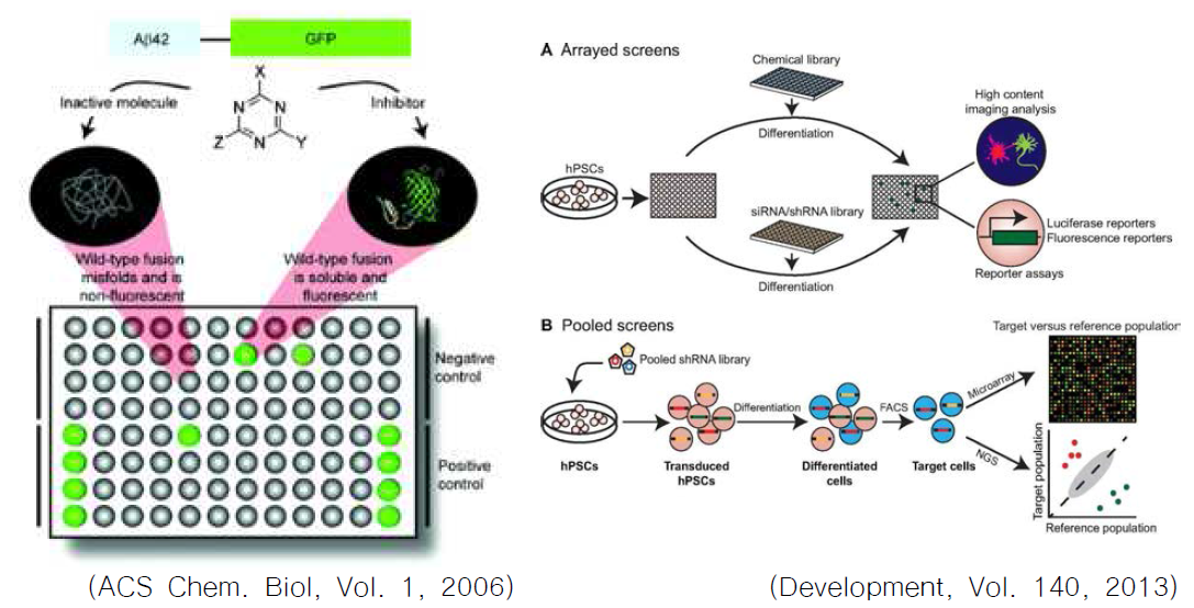 High-throughput screening 기술