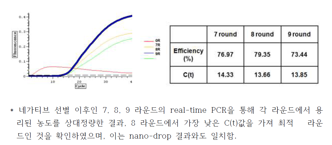 Real-time PCR을 통한 최적 SELEX 라운드 확인