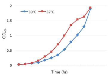 Salmonella typhimurium의 growth curve 측정 결과