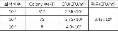 Salmonella typhimurium의 CFU 측정 결과