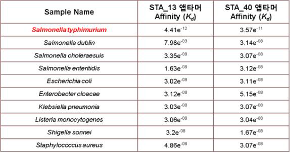 Salmonella typhimurium 결합 DNA 앱타머 STA_13와 STA_40의 Salmonella typhimurium 균주 특이성 평가