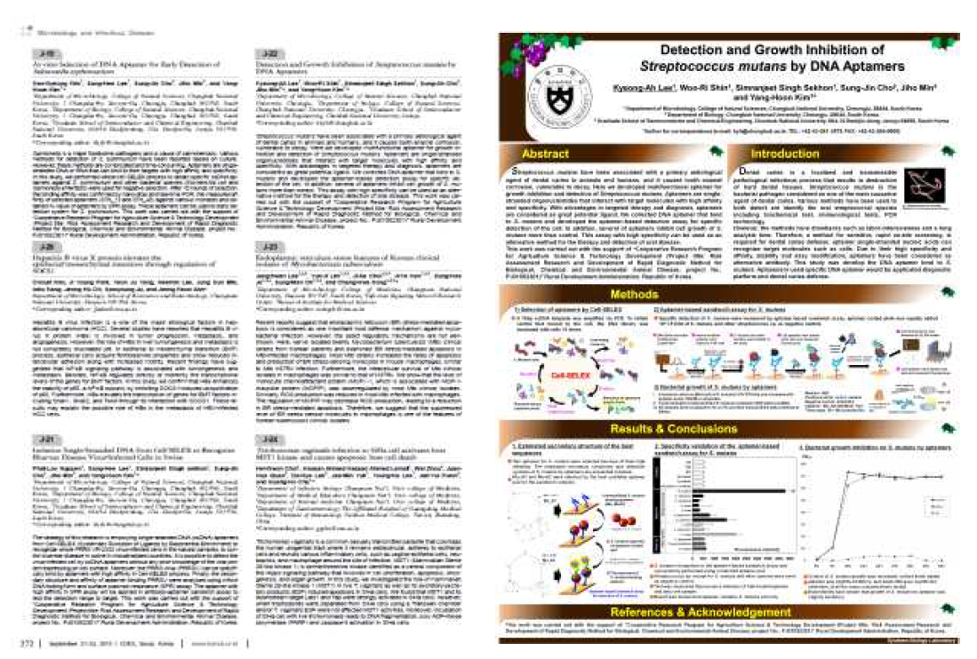 S. mutans 앱타머 관련 국제 학술발표 - 2015 추계 분자세포생물학회