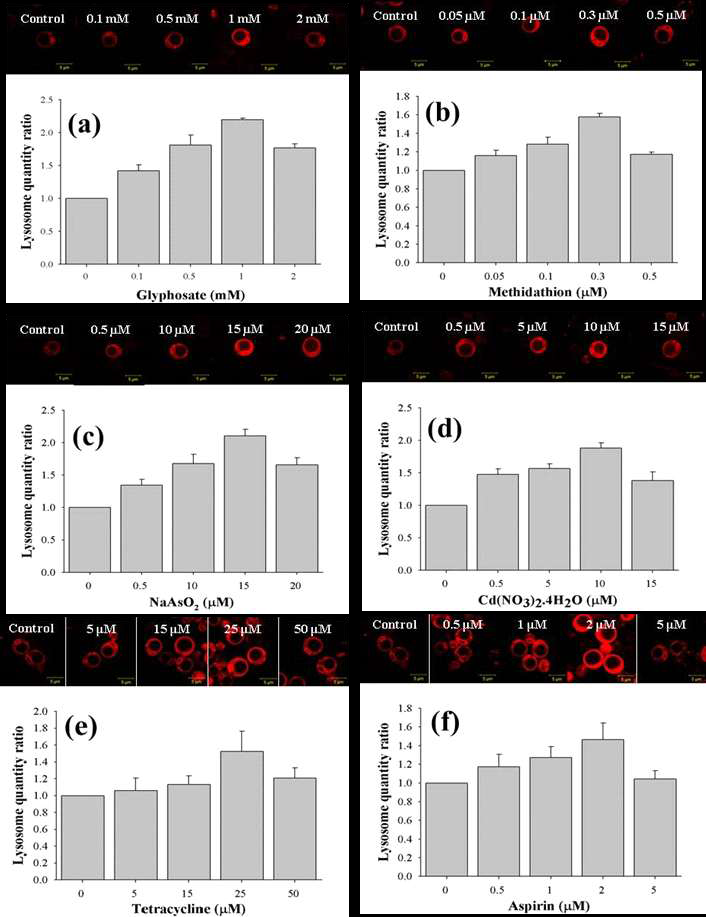 환경 유해물질에 노출시킨 효모 내 리소좀의 활성분석. (a) glyphosate (b) methidathion (c) NaAsO2 (d) Cd(NO3)2.4H2O (e) tetracycline (f) aspirin