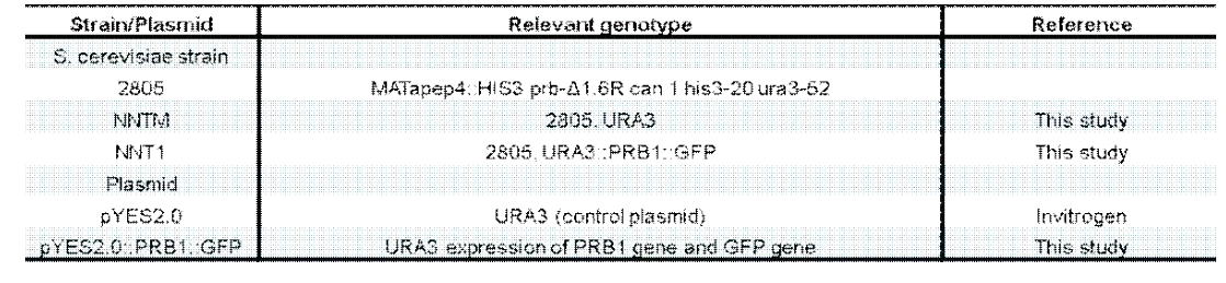 S. cereivisae strains 와 plasmids 의 특성