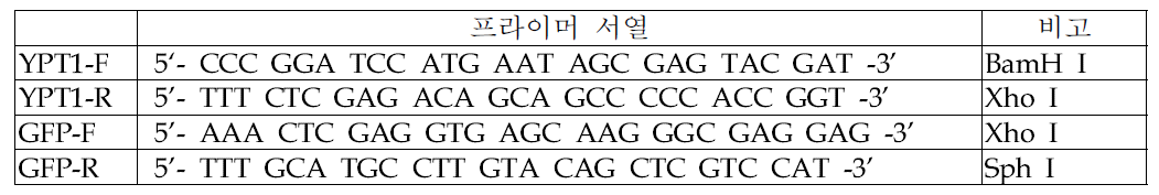 프라이머 서열