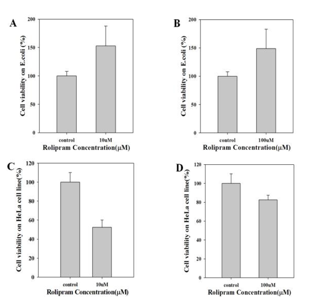 세포에서 추출한 리소좀의 항균활성 및 항함 활성 분석 A. rolipram 10uM, B. rolipram 100uM, C. rolipram 10uM, D. rolipram 100uM