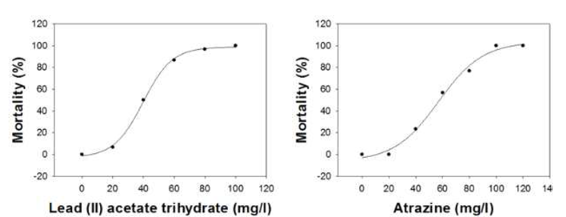 Lead(II) acetate trihydrate와 atrazine의 농도에 따른 영향