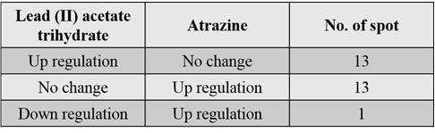 Lead(II) acetate trihydrate와 atrazine에 의한 DEPs 형태