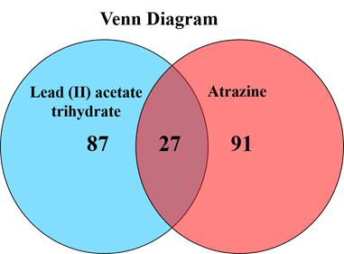 Lead(II) acetate trihydrate와 atrazine에 노출된 D. magna의 단백질 도식화