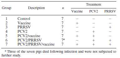 Experimental infection/vaccination treatment groups