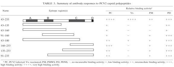 Summary of antibody responses to PCV2 capsid polypeptides