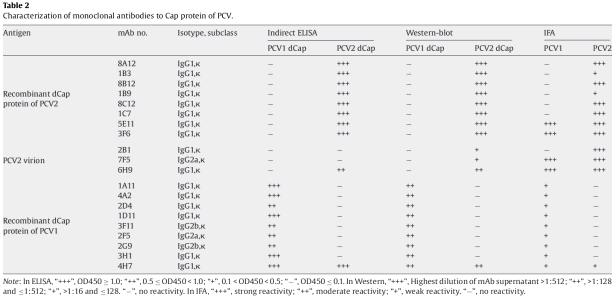 Characterization of monoclonal antibodies to Cap protein of PCV