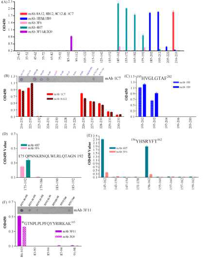 Fine mapping of the linear B cell epitopes on cap protein of PCV with peptide-ELISA and peptide-dot ELISA