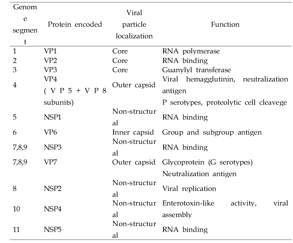 Characteristics of structural and non-structural rotavirus protein