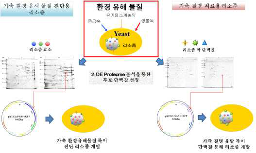 천연 리소좀 항균제 및 질병 유발원 진단 소재 개발 연구