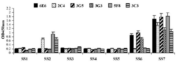 Minimization of S1D5, S1D6 and McAbs using Pepscan