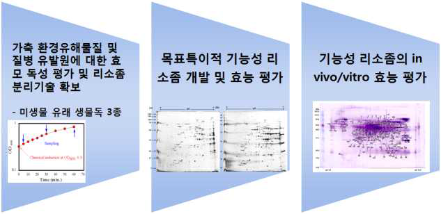 생물학적 원인에 의한 가축질병 유발원 선정 및 기능성 리소좀 개발