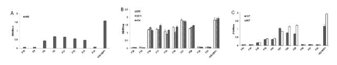 Reactivity of MAbs with the different fragments of NSP1 expressed in E. coli by ELISA