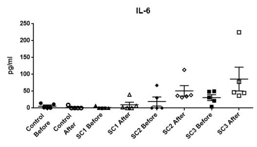 사양시험 전·후 이유자돈의 Cytokine (IL-6)의 변화