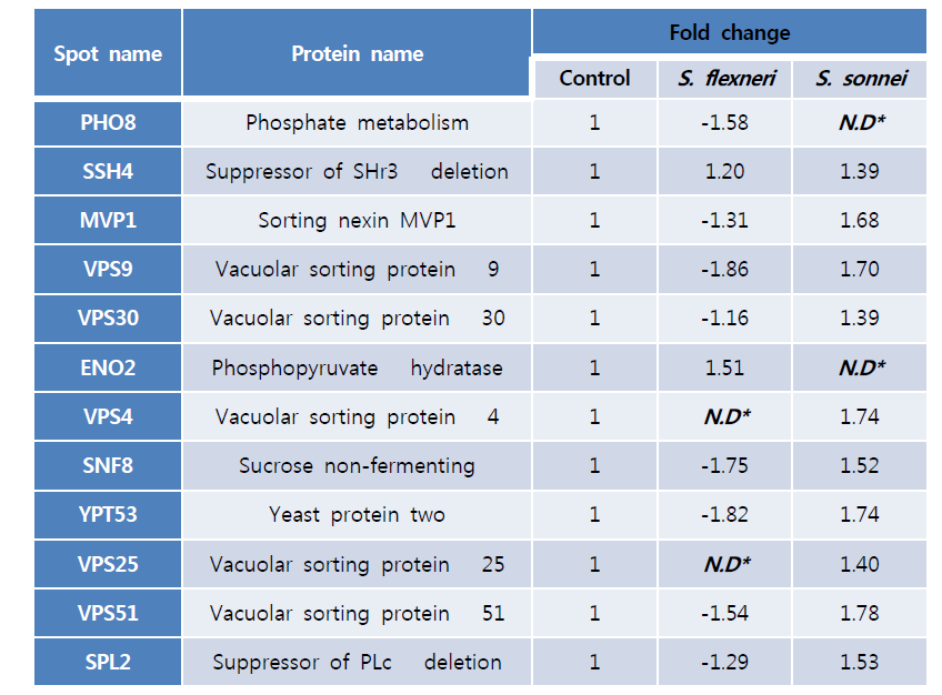 Shigella flexneri 와 Shigella sonnei 노출 후 반응에 대한 효모 내 리소좀 내 발현된 단백질 리스트